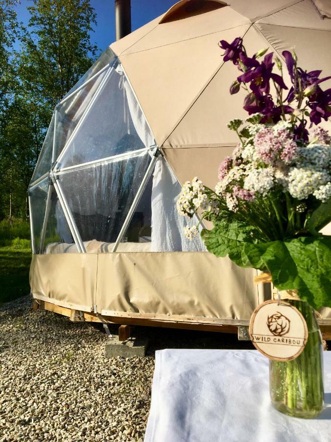Wild Caribou Dome Hotel Lakselv Exterior photo